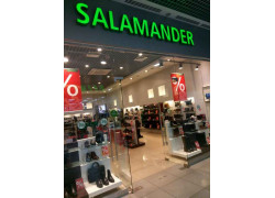 Salamander