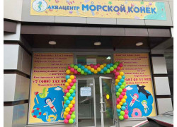 Морской конёк