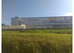 Nutricia