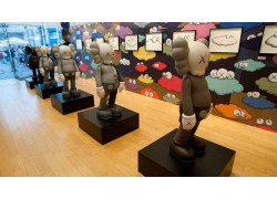 Kaws Companion