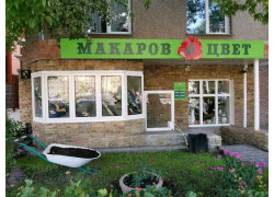 Макаров цвет